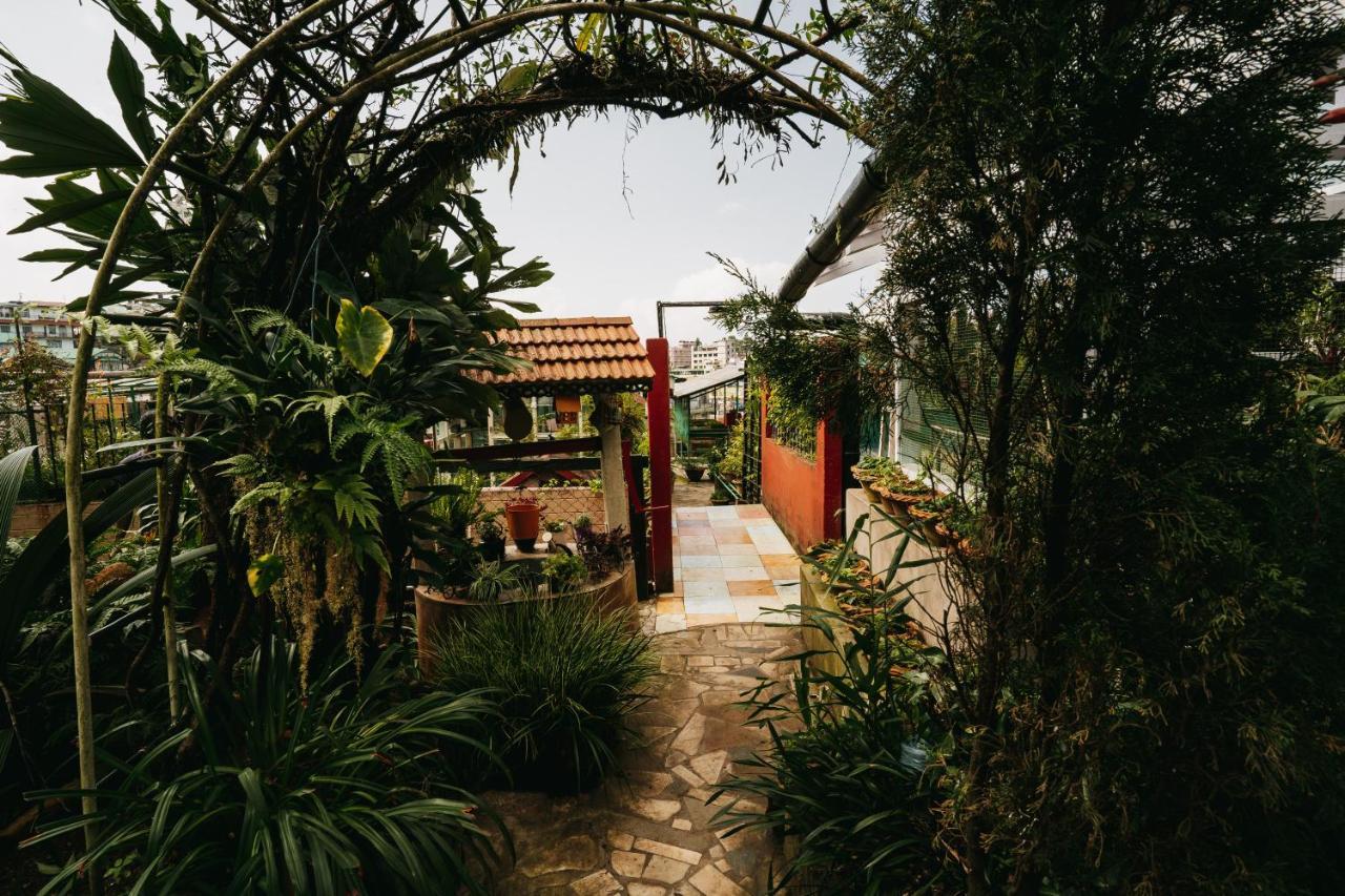 Rock Cliff Home Stay ชิลลอง ภายนอก รูปภาพ